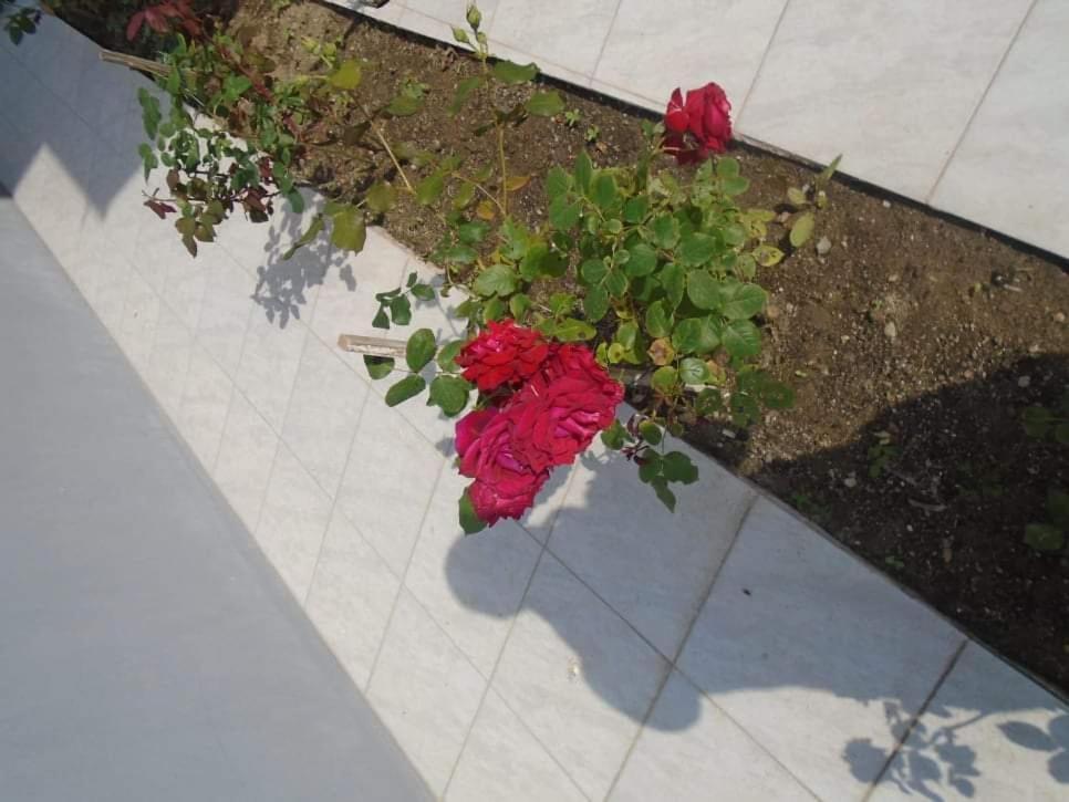 Apartament House Filippos Sarti Zewnętrze zdjęcie